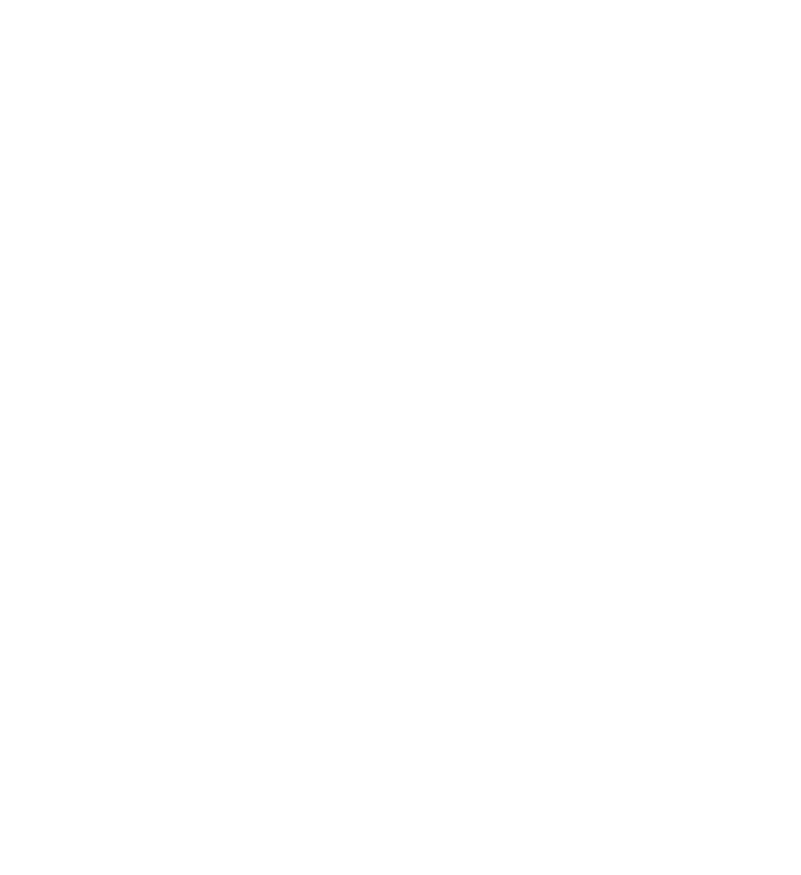 SIM Security